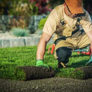 Landscaping in Provo, UT