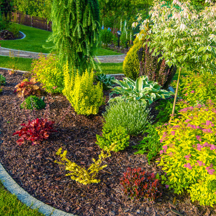 Landscaping in Provo, UT